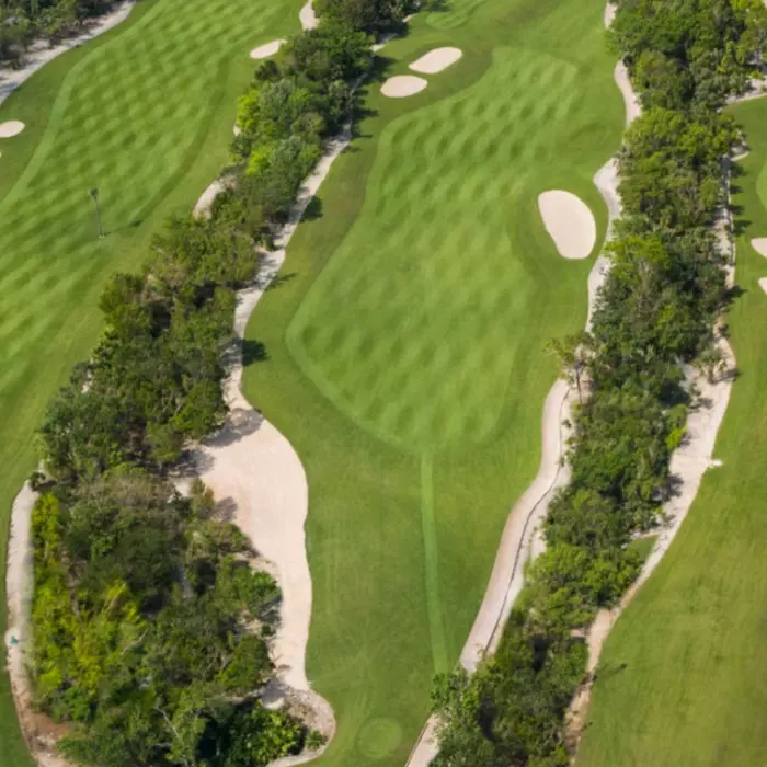 golf course at Iberostar Waves Paraiso del Mar