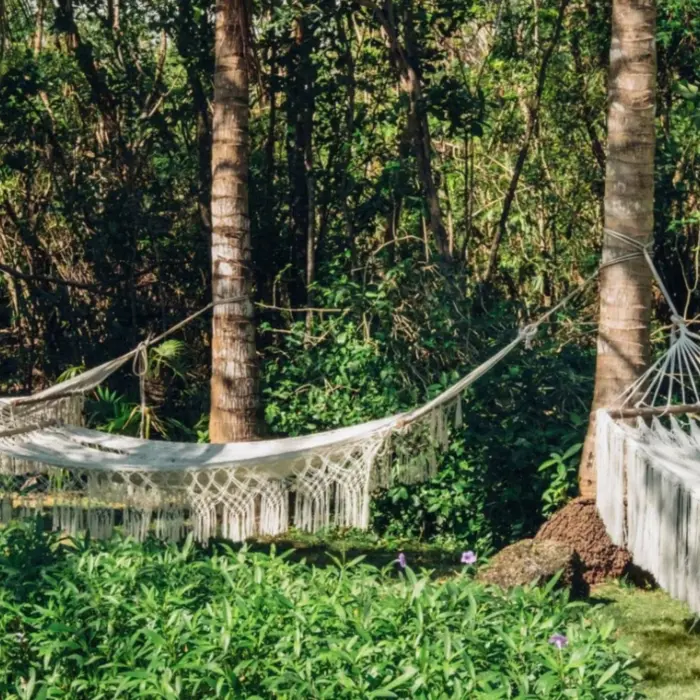 hammocks in the garden at Iberostar Selection Paraiso Lindo