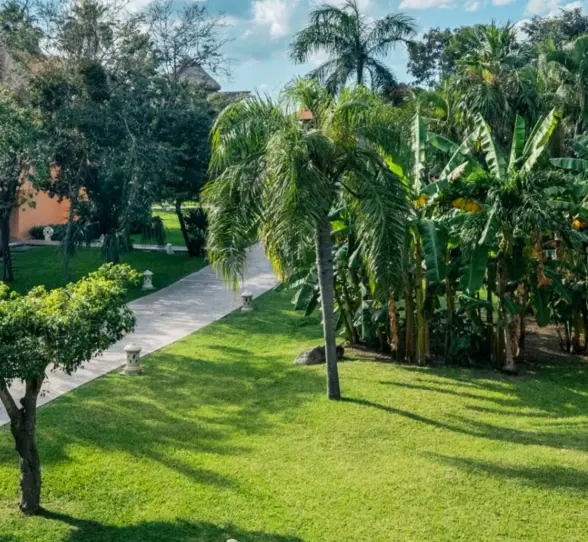 lush gardens and pathways at Iberostar Waves Paraiso Beach