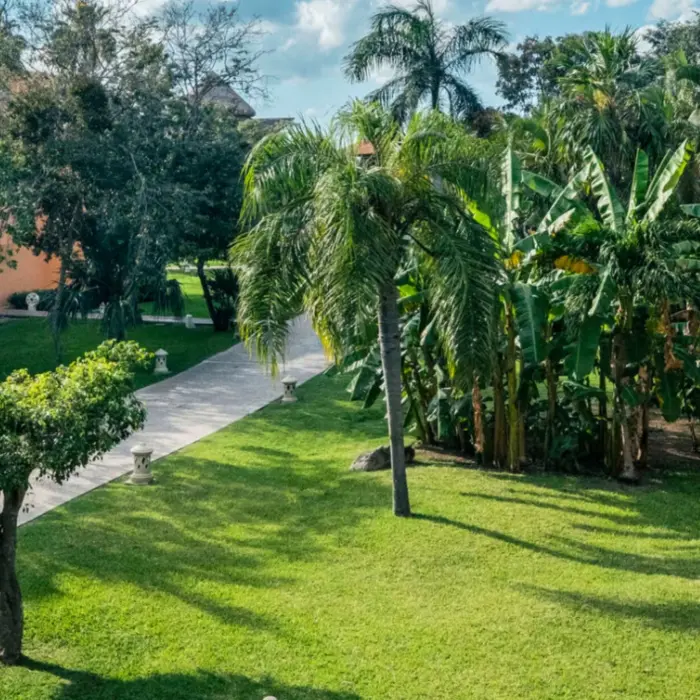 lush gardens and pathways at Iberostar Waves Paraiso Beach