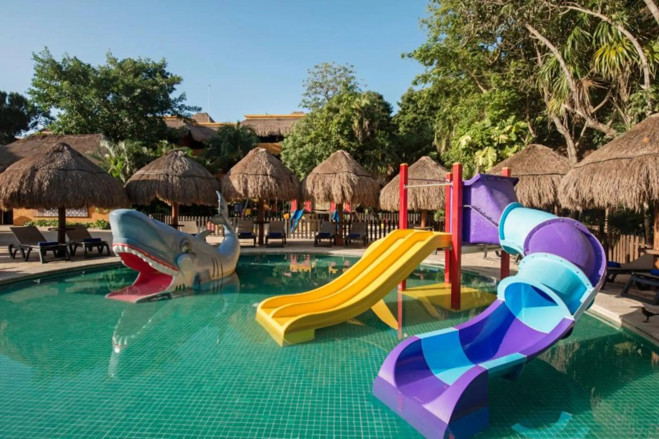 A kids' pool with a large shark sculpture and two colorful waterslides.