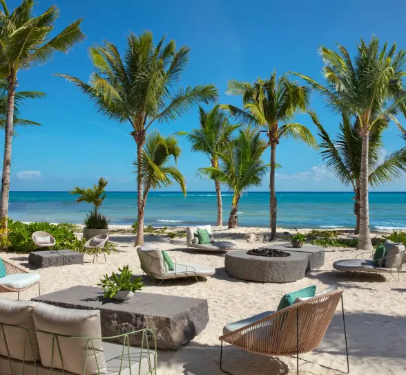 Chic beach lounge area with modern chairs and firepit surrounded by palm trees.