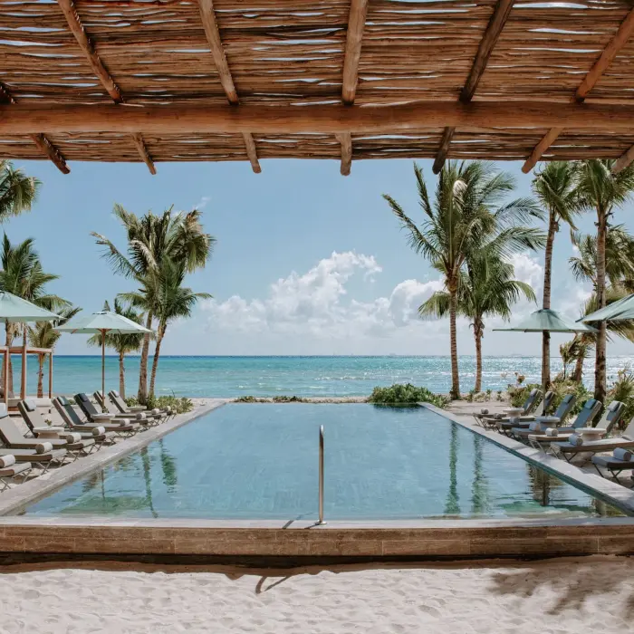 Beachfront pool surrounded by loungers and palm trees under a wooden pergola.