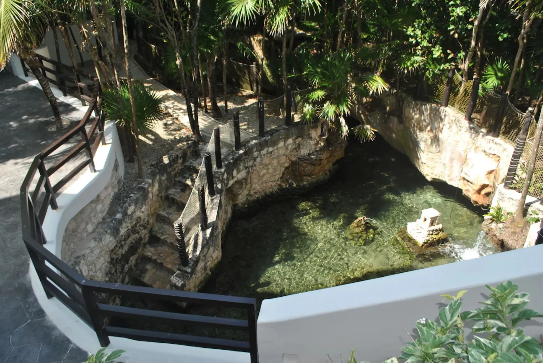 A natural open-air cenote with clear water, surrounded by lush tropical vegetation and stone pathways.