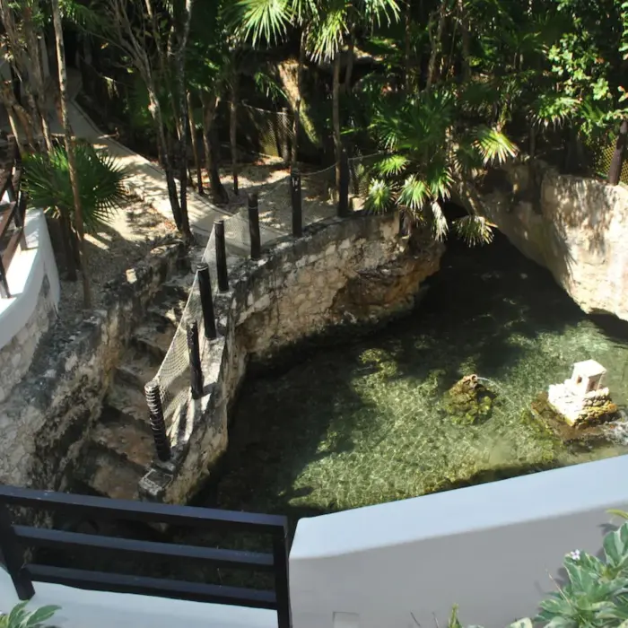 A natural open-air cenote with clear water, surrounded by lush tropical vegetation and stone pathways.