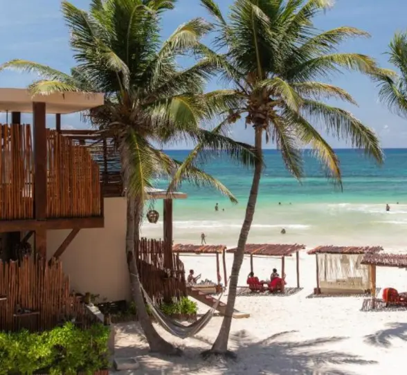 exteriors of La Zebra with beach cabanas and hammocks