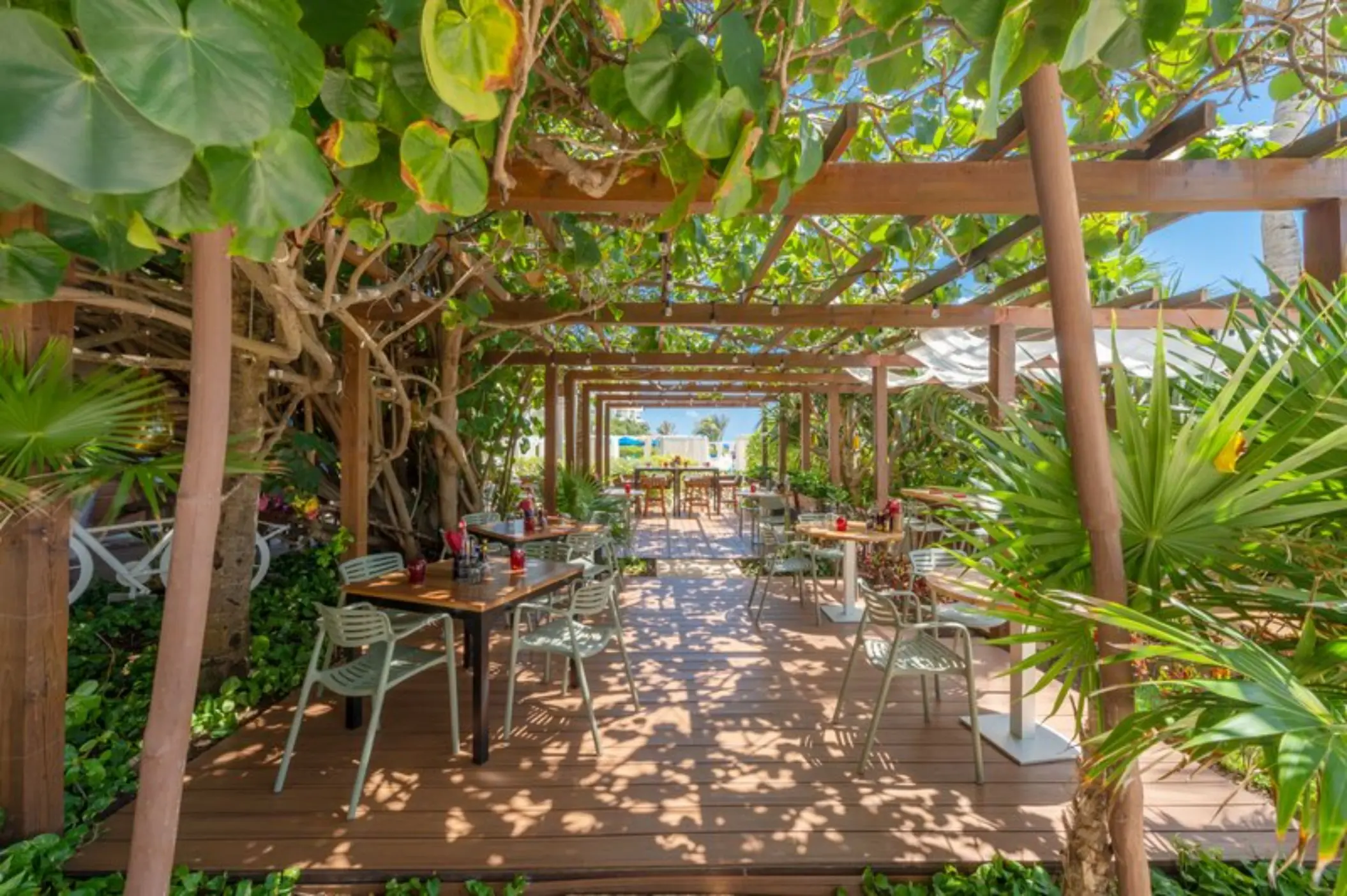 A vibrant restaurant with an outdoor seating area under a pergola covered in lush green vines.