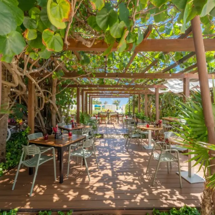 A vibrant restaurant with an outdoor seating area under a pergola covered in lush green vines.