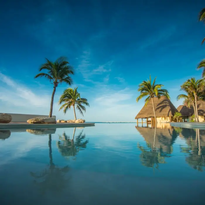 Infinity pool facing the ocean with swaying palms, thatched palapas, and a wide open blue sky.