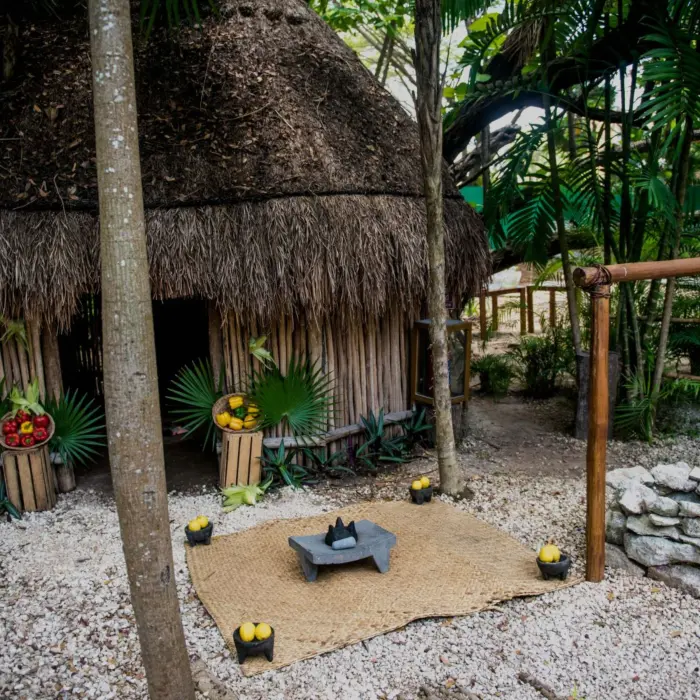 Traditional temazcal structure with thatched roof, surrounded by trees and ritual items on woven mat.
