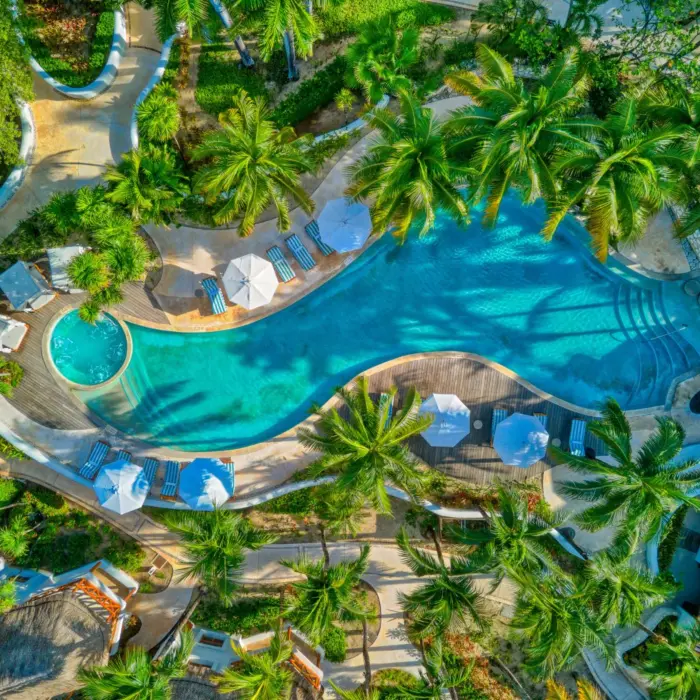 Aerial view of winding lagoon-style pool surrounded by tropical gardens and white loungers.