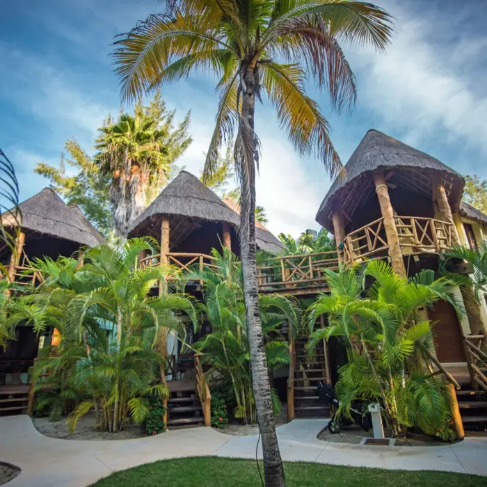 Elevated palapa-style cabanas nestled in palm trees, connected by wooden walkways and stairs.