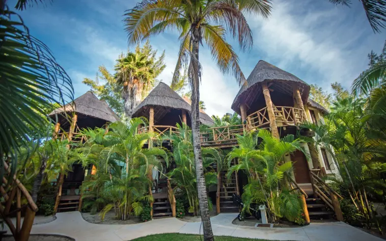 Elevated palapa-style cabanas nestled in palm trees, connected by wooden walkways and stairs.