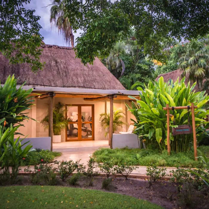 Tropical spa building with thatched roof and lush green entrance path surrounded by dense jungle foliage.