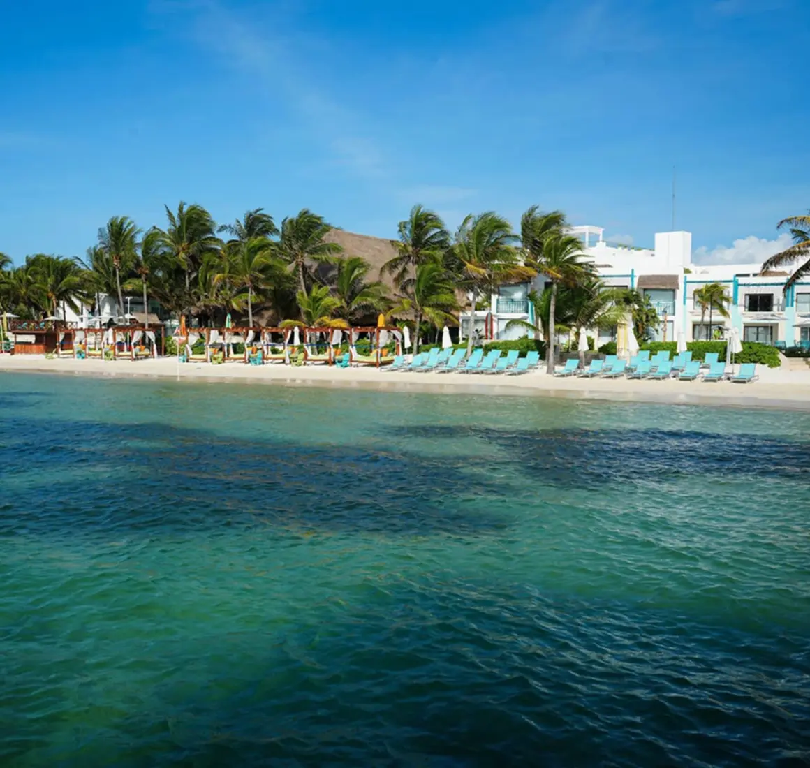 Oceanfront loungers and palm trees in front of a resort with white buildings and a calm turquoise sea.