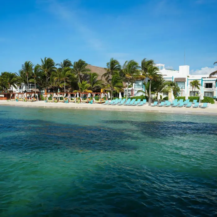 Oceanfront loungers and palm trees in front of a resort with white buildings and a calm turquoise sea.