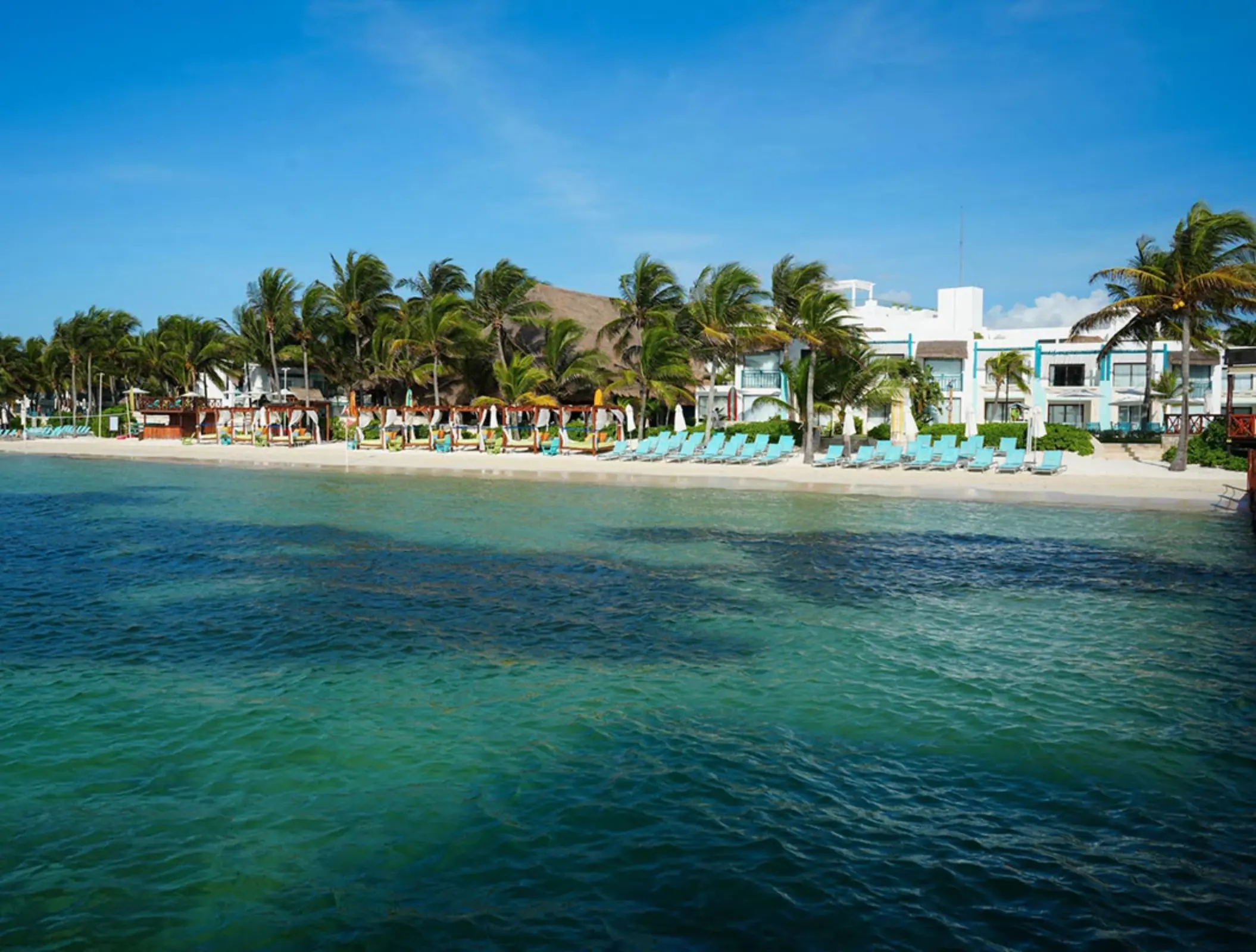 Oceanfront loungers and palm trees in front of a resort with white buildings and a calm turquoise sea.