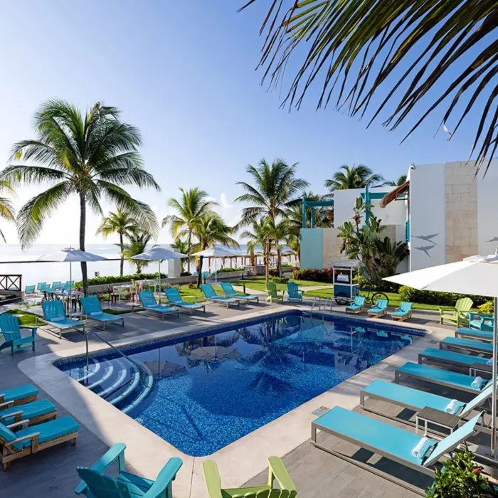 Tranquil beachfront pool with turquoise loungers, umbrellas, and palm trees nearby.