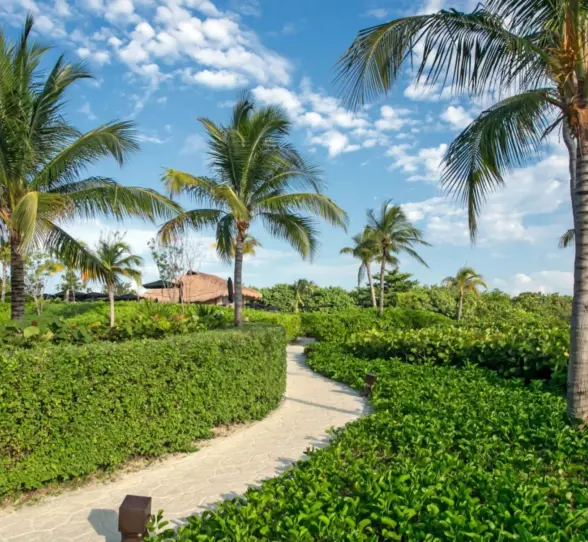 pathway inside Nizuc Resort and Spa