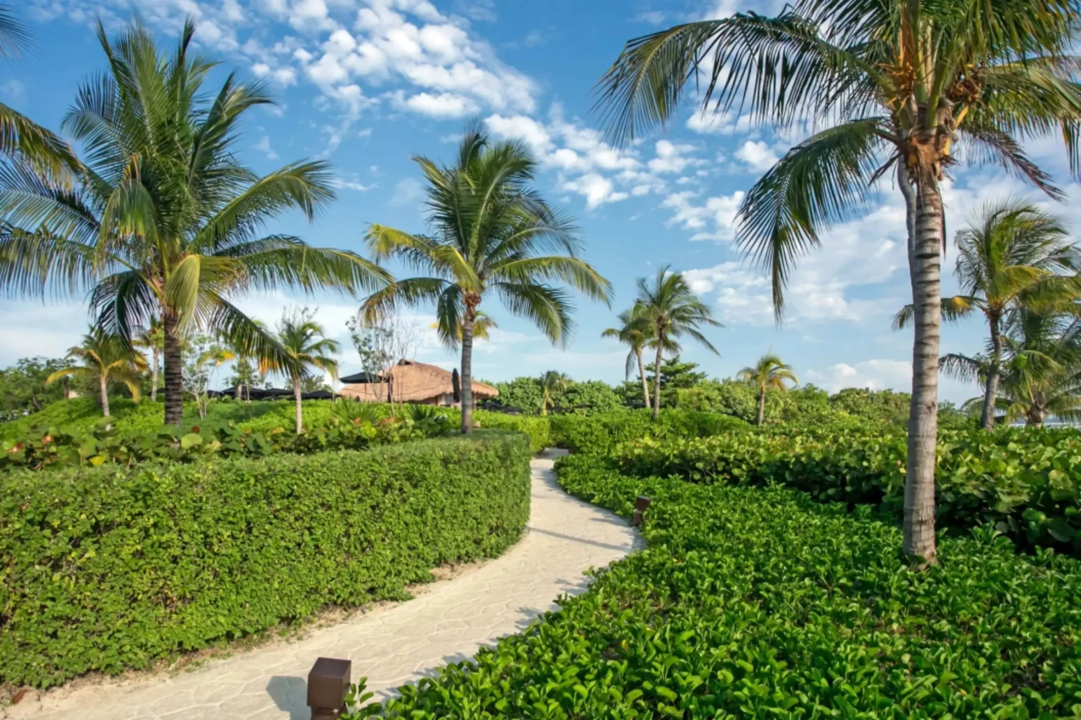 pathway inside Nizuc Resort and Spa