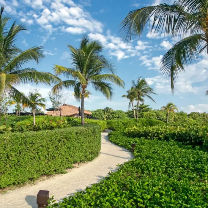 pathway inside Nizuc Resort and Spa