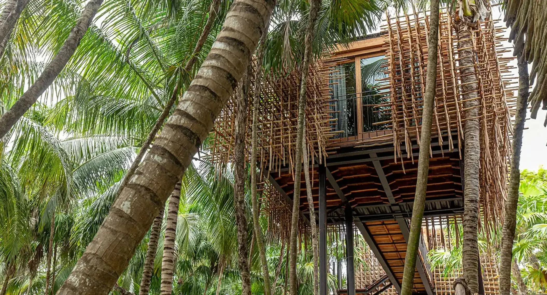 exterior of treehouse at nomade tulum