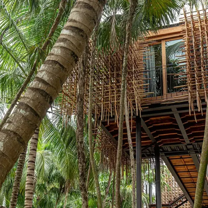 exterior of treehouse at nomade tulum