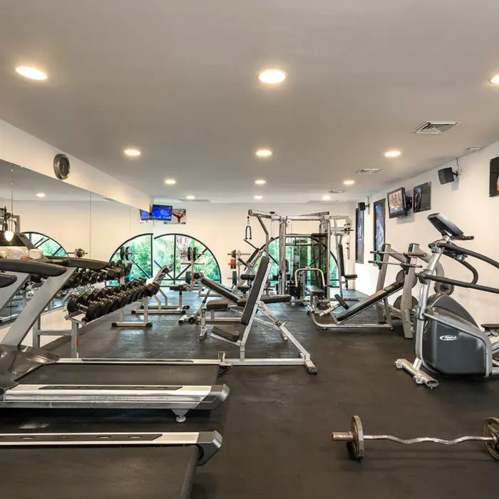 A well-equipped gym with treadmills, free weights, and various weight machines.