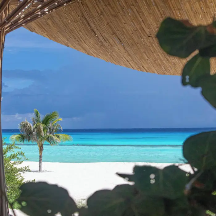 view of the beach from Palmaïa – The House of AïA resort
