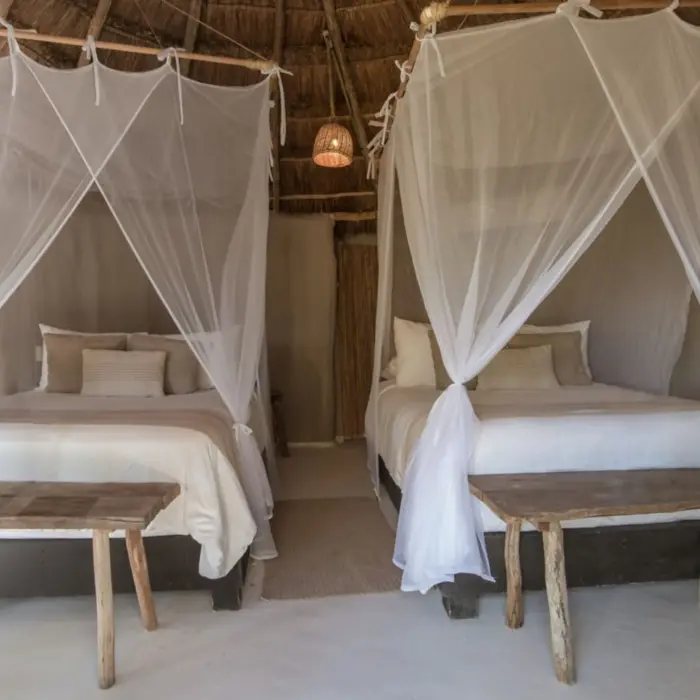 Interior of a rustic cabana with a thatched roof, featuring two beds draped with mosquito nets and simple wooden furniture.