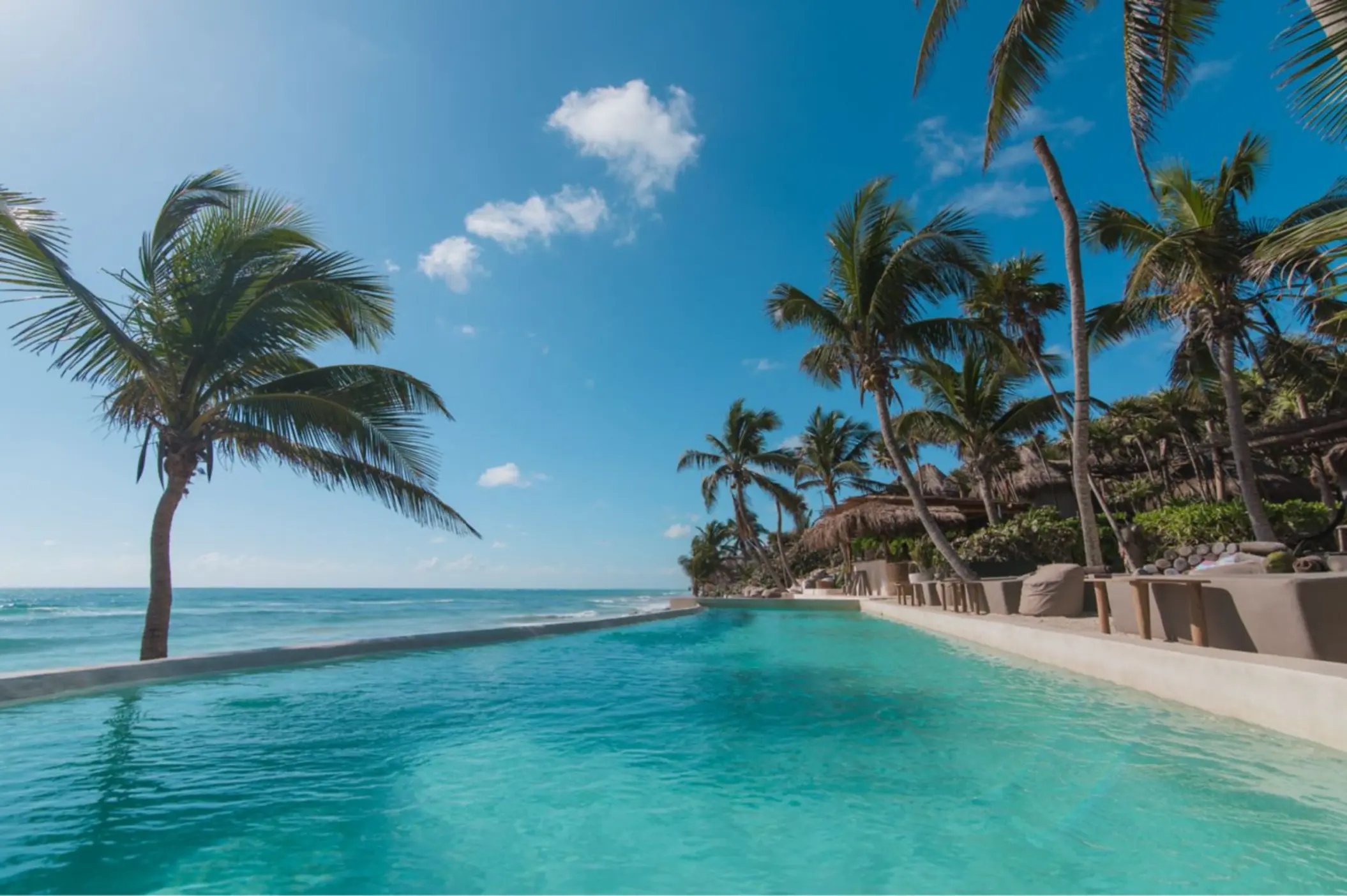 A stunning oceanfront infinity pool at Papaya Playa Project, surrounded by palm trees and overlooking the turquoise sea under a blue sky.
