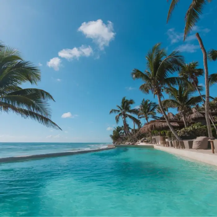 A stunning oceanfront infinity pool at Papaya Playa Project, surrounded by palm trees and overlooking the turquoise sea under a blue sky.