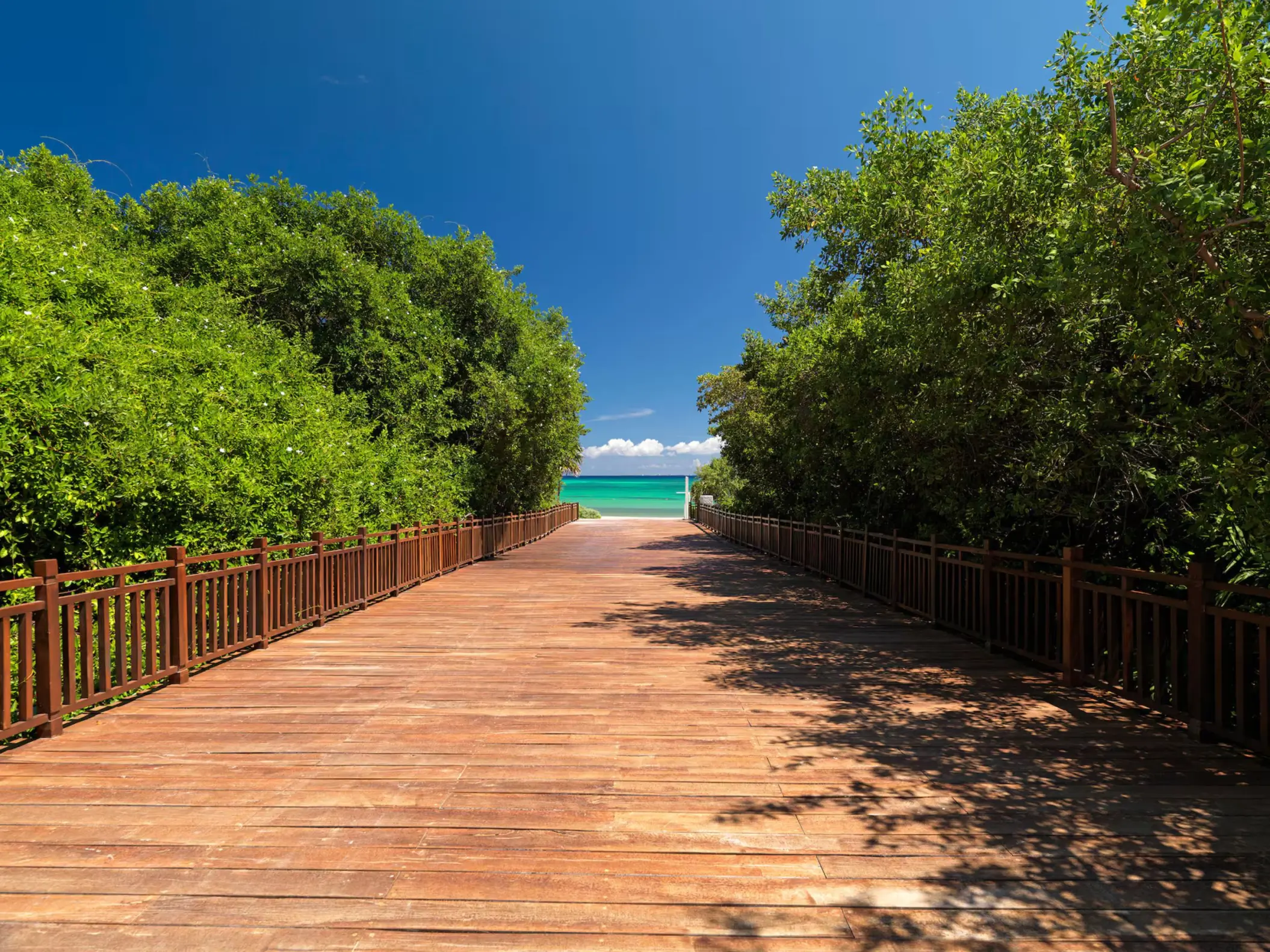 gabi bridge leading to the sea at Paradisus La Perla