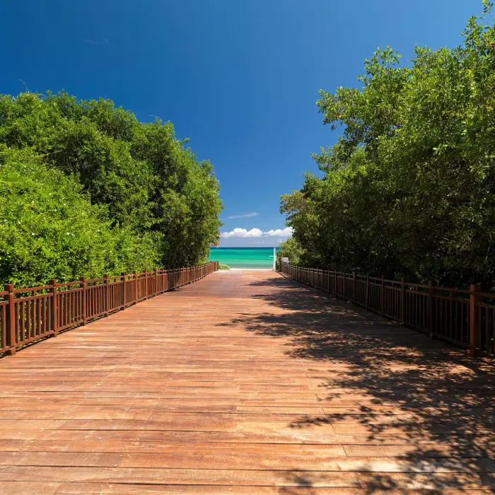 gabi bridge leading to the sea at Paradisus La Perla