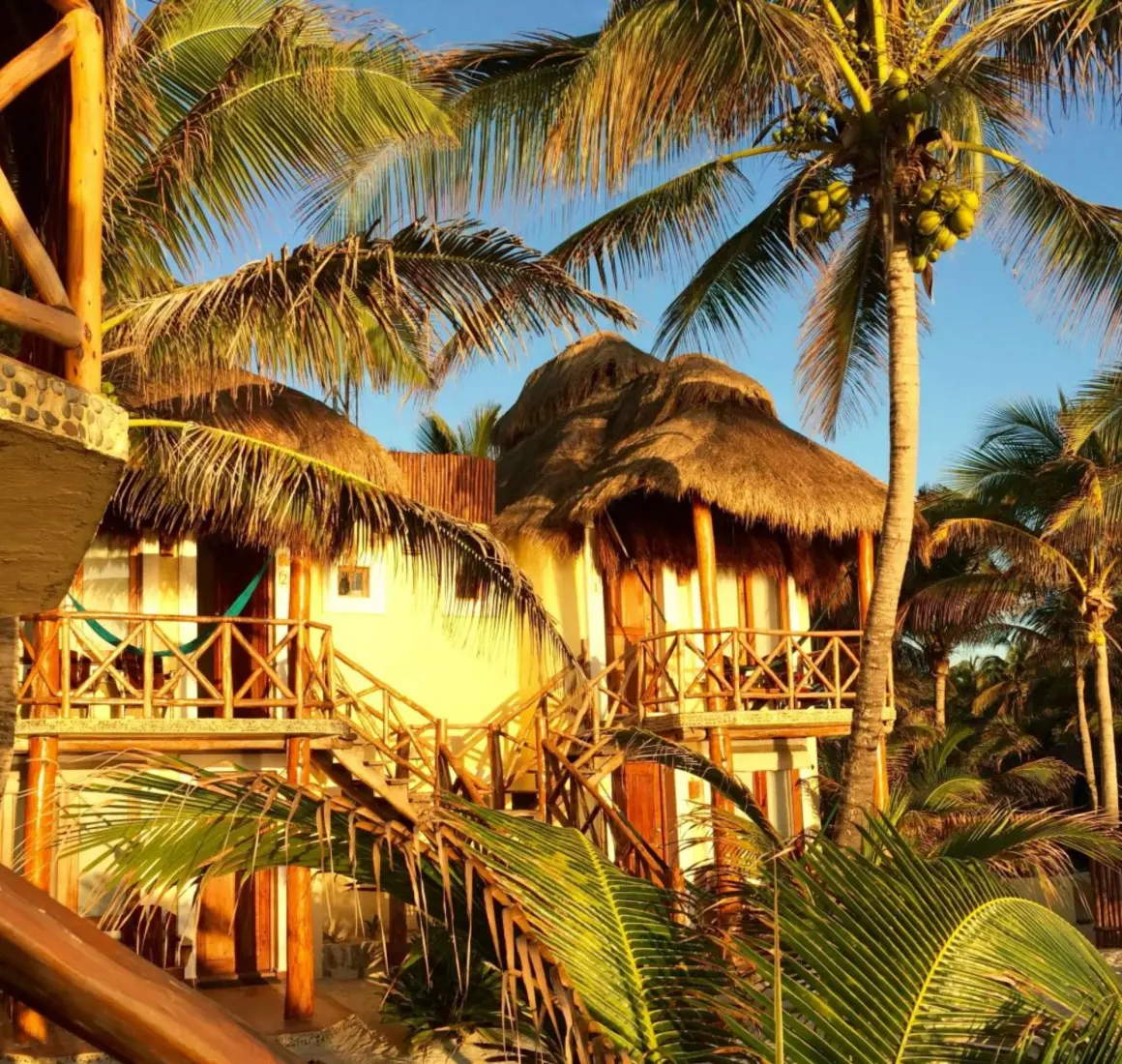 Exterior view of thatched-roof accommodations at Piedra Escondida, surrounded by lush green palm trees under clear skies.
