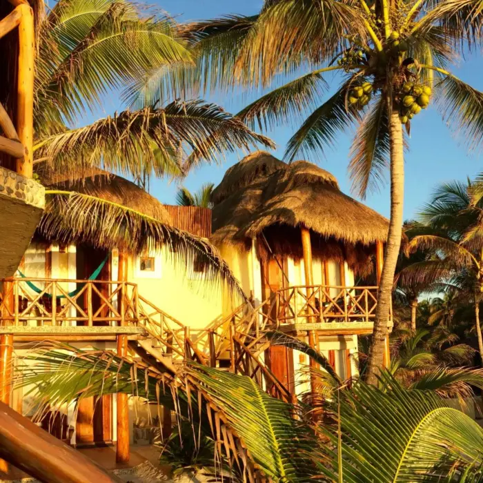 Exterior view of thatched-roof accommodations at Piedra Escondida, surrounded by lush green palm trees under clear skies.