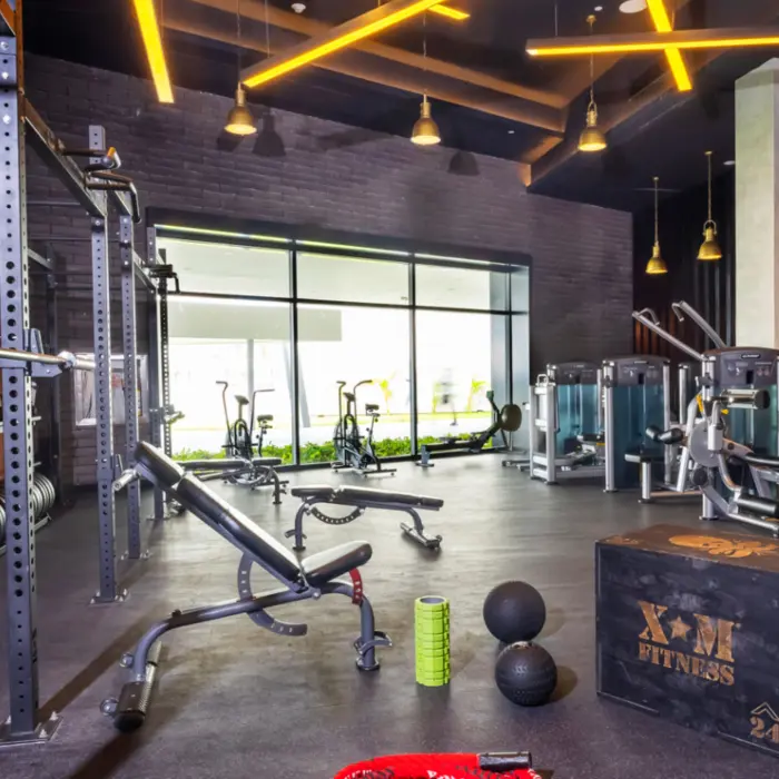 Modern gym with weight machines, squat rack, free weights, and natural light streaming in through large windows.