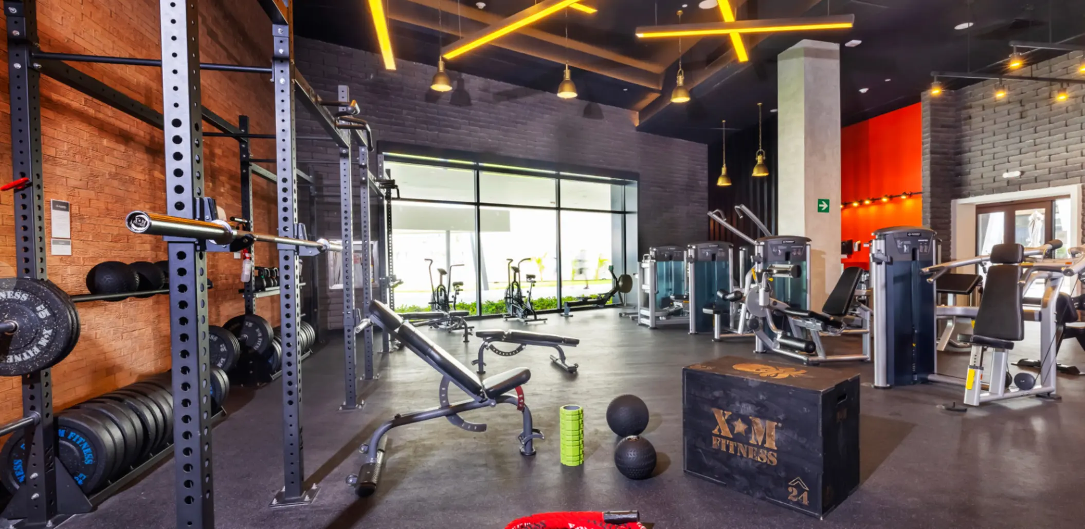 Modern gym with weight machines, squat rack, free weights, and natural light streaming in through large windows.