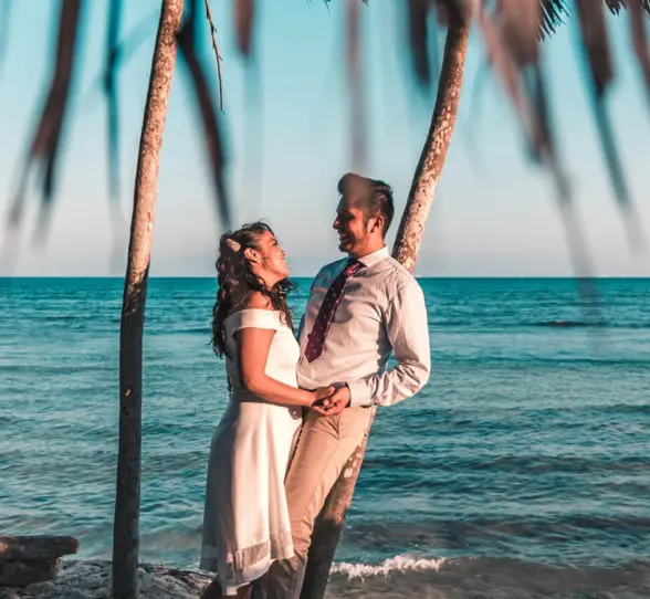 A smiling bride and groom embracing on a beach, leaning against palm trees with the ocean in the background.