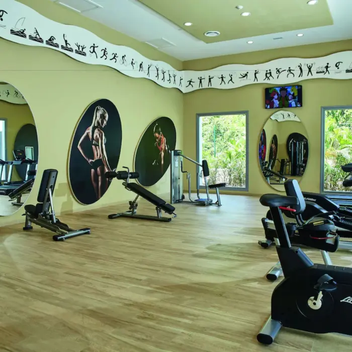 A well-equipped gym with cardio machines, free weights, and large windows looking out to the outdoors.