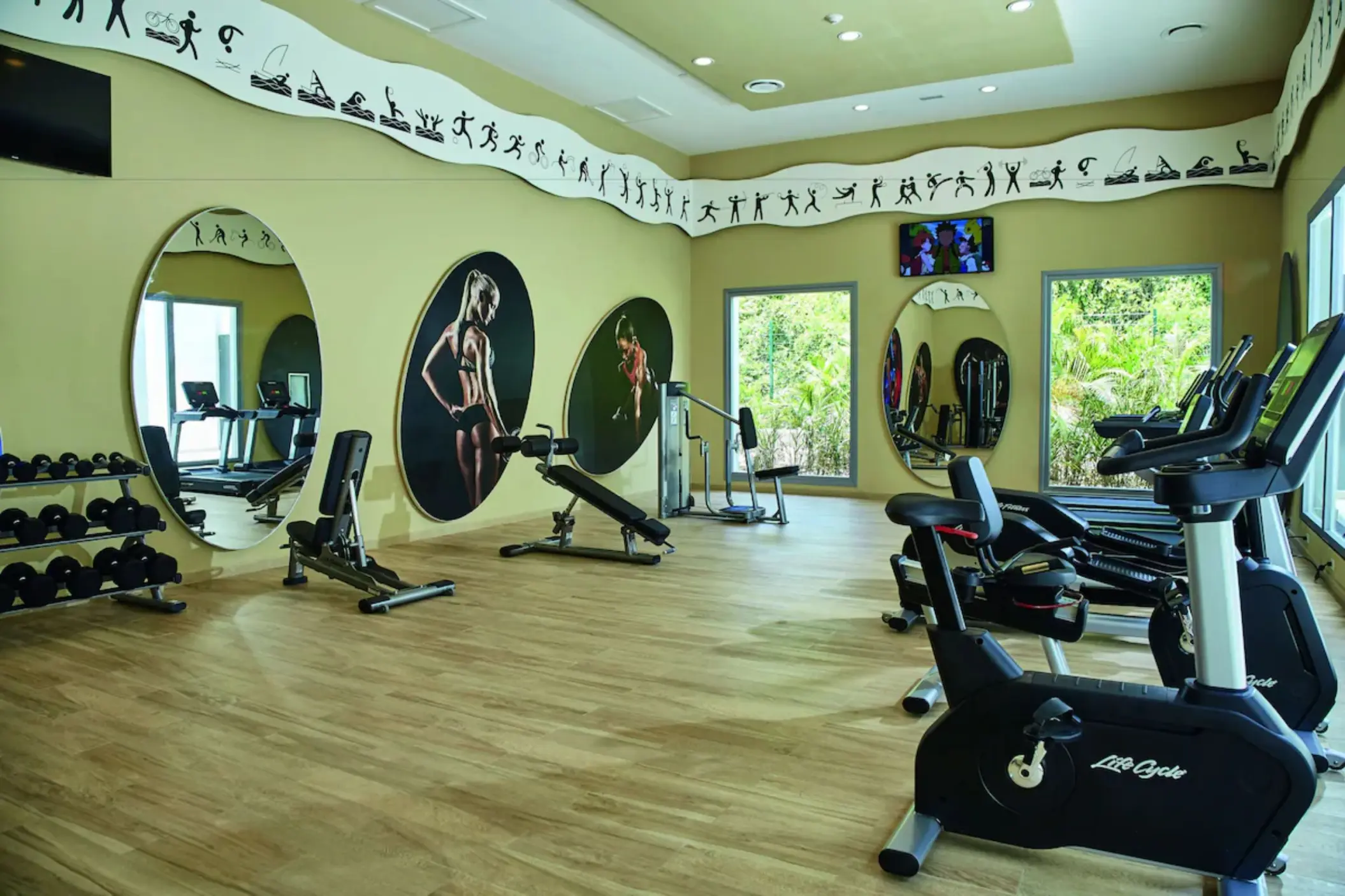 A well-equipped gym with cardio machines, free weights, and large windows looking out to the outdoors.