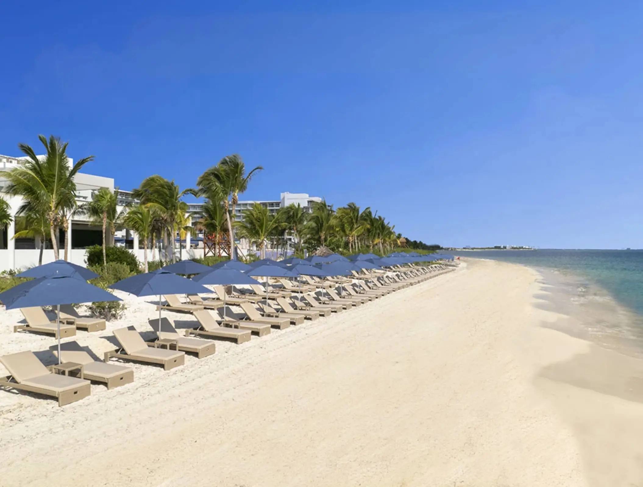 Rows of beige lounge chairs and navy umbrellas line a wide, sandy beach with calm turquoise water and palm trees nearby.