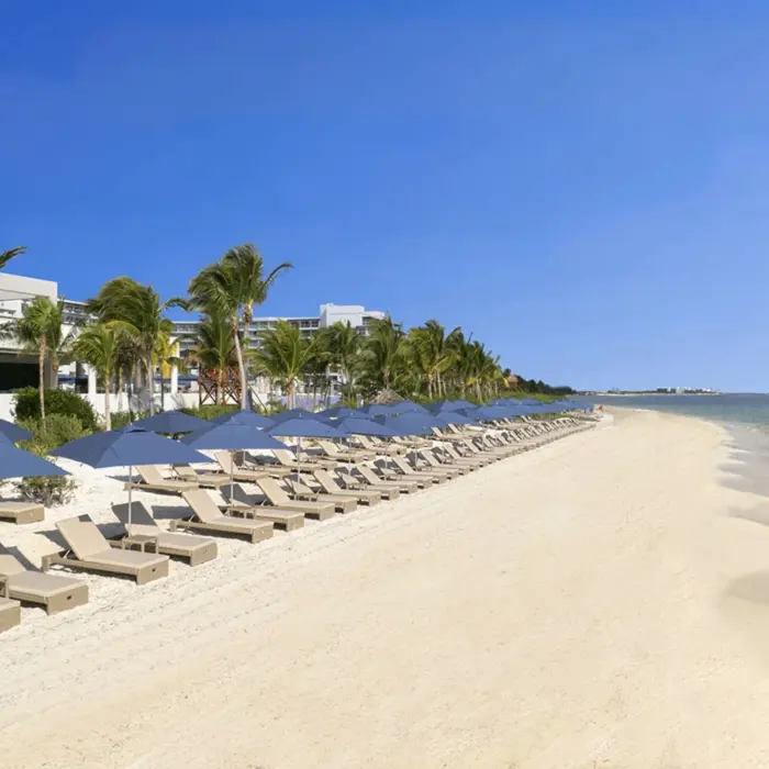 Rows of beige lounge chairs and navy umbrellas line a wide, sandy beach with calm turquoise water and palm trees nearby.