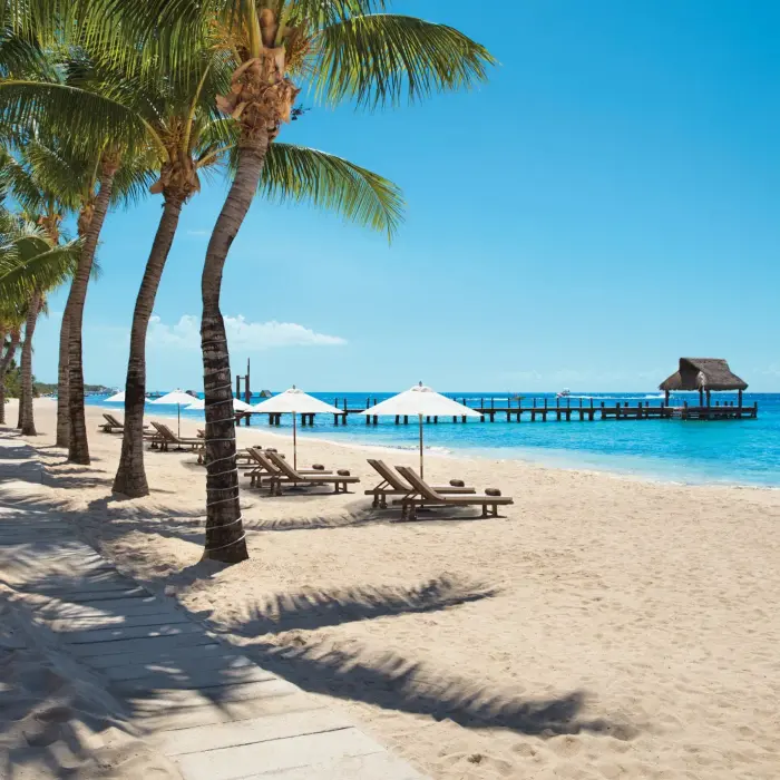 Sun loungers and white umbrellas line a palm-shaded beach with a pier over crystal-clear water.