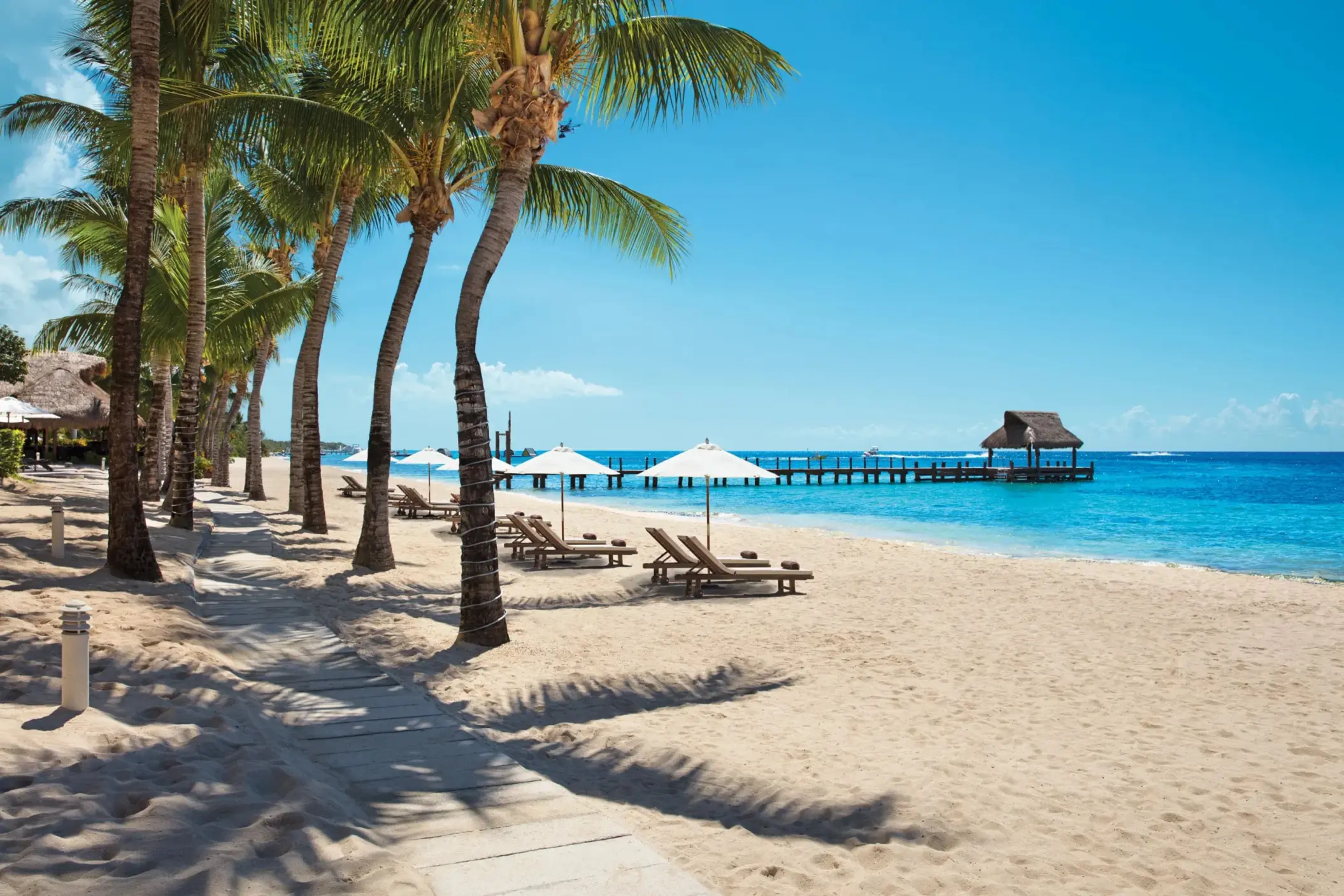 Sun loungers and white umbrellas line a palm-shaded beach with a pier over crystal-clear water.