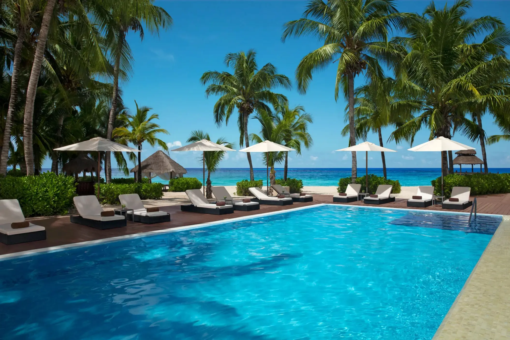 Serene beachfront pool lined with white loungers and umbrellas beneath swaying palm trees.