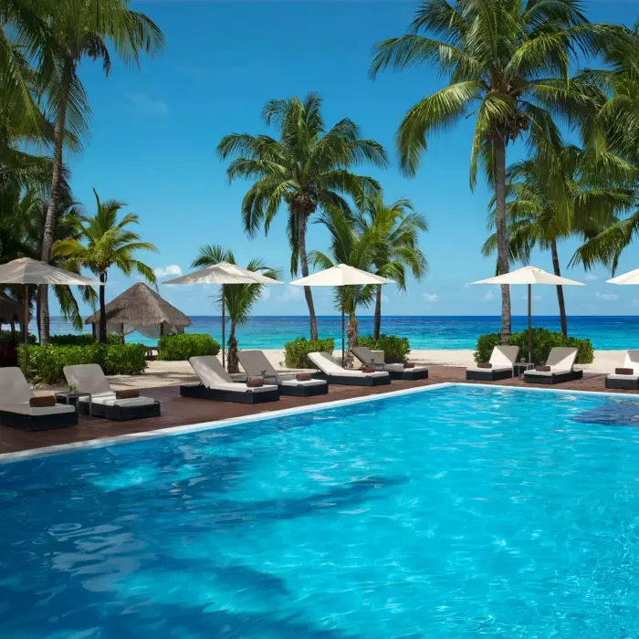 Serene beachfront pool lined with white loungers and umbrellas beneath swaying palm trees.
