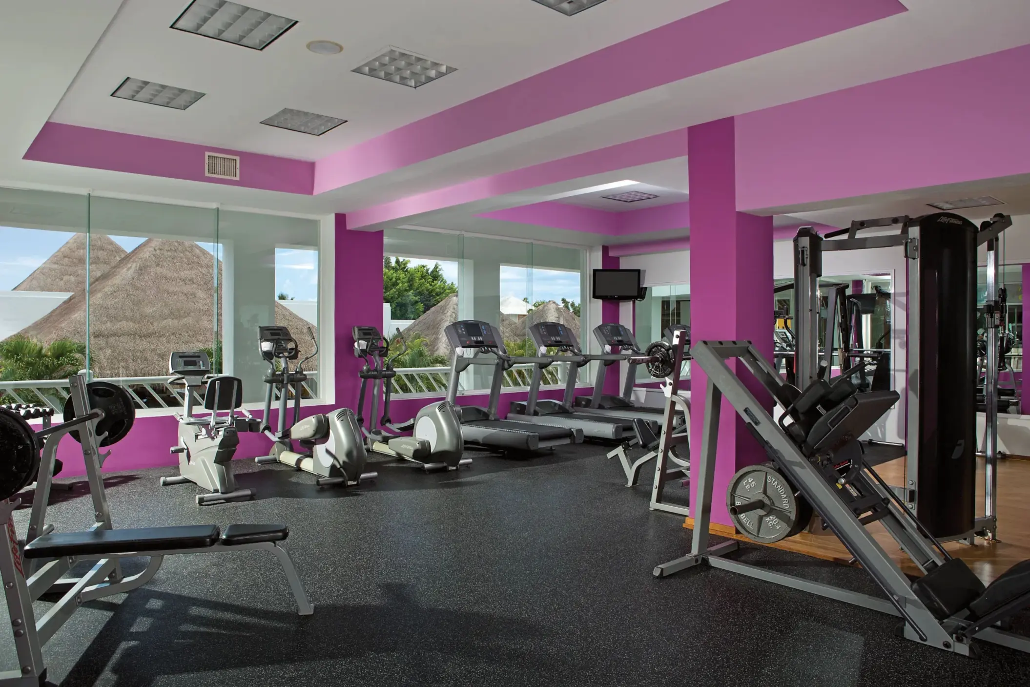 Bright fitness center with cardio and strength machines, mirrored walls, and tropical views.