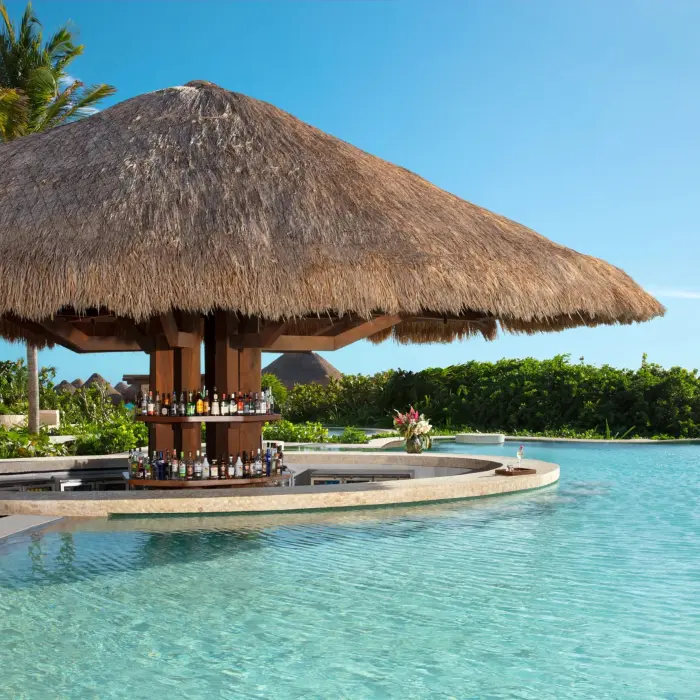 Swim-up palapa bar surrounded by lush greenery, stocked with spirits and poolside refreshments.