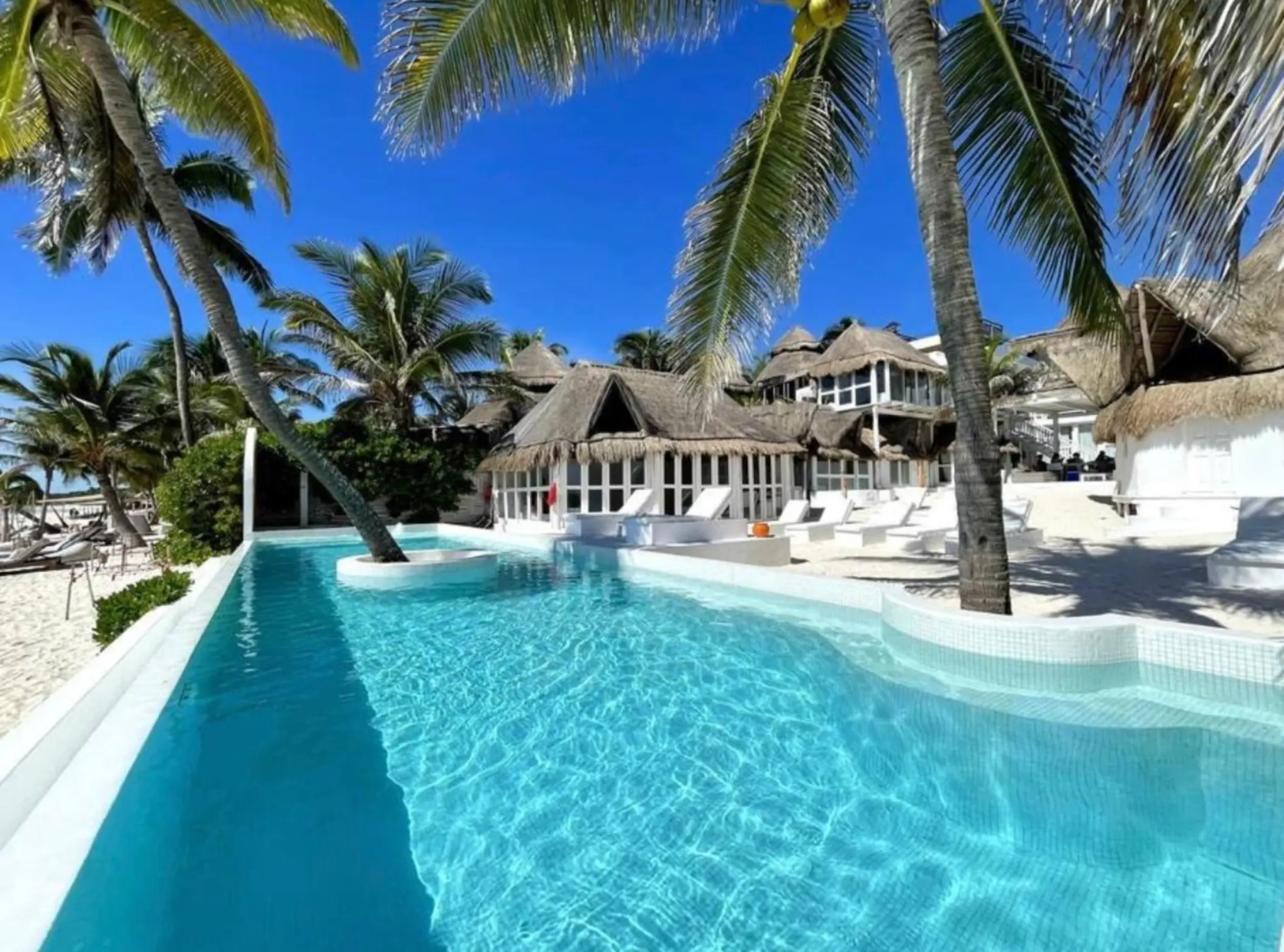Bright turquoise pool surrounded by palm trees, white lounge chairs, and thatched-roof buildings.